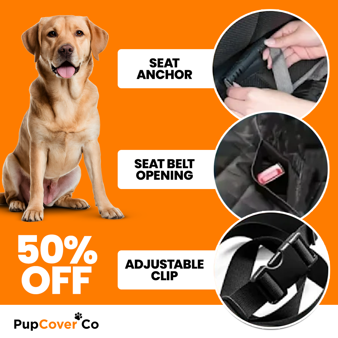 PupCover Co™ Dog Car Seat Protector
